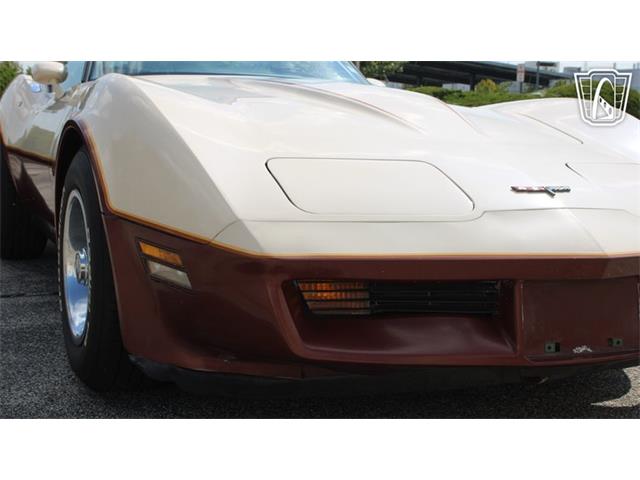 1981 Chevrolet Corvette (CC-2102591) for sale in Crete, Illinois