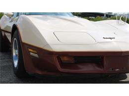 1981 Chevrolet Corvette (CC-2102591) for sale in Crete, Illinois
