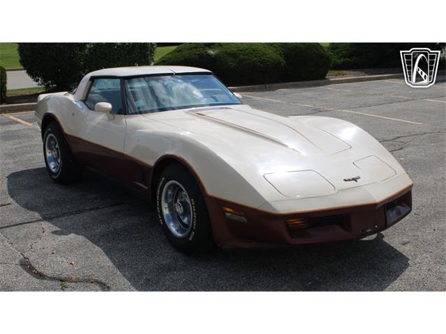 1981 Chevrolet Corvette (CC-2102591) for sale in Crete, Illinois