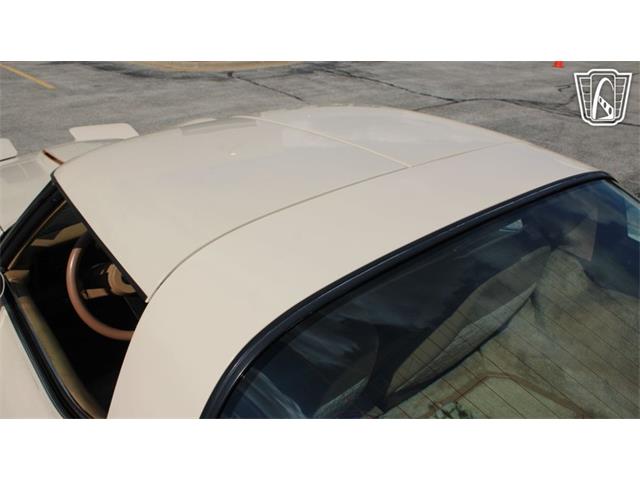 1981 Chevrolet Corvette (CC-2102591) for sale in Crete, Illinois