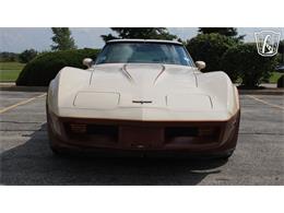 1981 Chevrolet Corvette (CC-2102591) for sale in Crete, Illinois