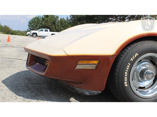 1981 Chevrolet Corvette (CC-2102591) for sale in Crete, Illinois