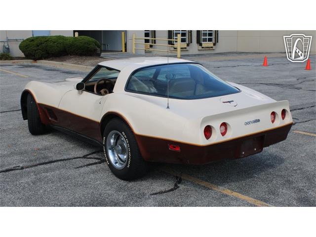 1981 Chevrolet Corvette (CC-2102591) for sale in Crete, Illinois