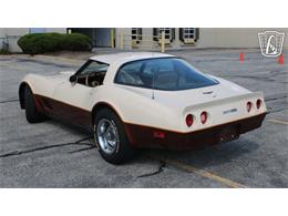 1981 Chevrolet Corvette (CC-2102591) for sale in Crete, Illinois