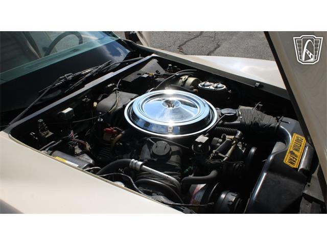 1981 Chevrolet Corvette (CC-2102591) for sale in Crete, Illinois