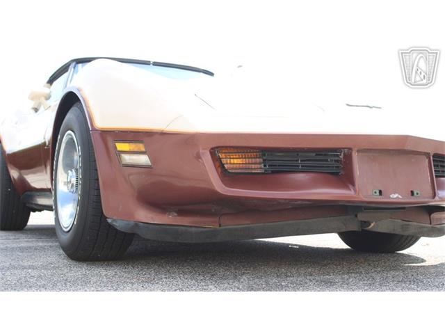 1981 Chevrolet Corvette (CC-2102591) for sale in Crete, Illinois