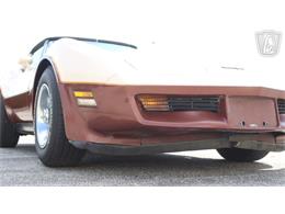 1981 Chevrolet Corvette (CC-2102591) for sale in Crete, Illinois