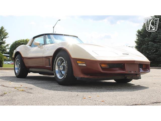 1981 Chevrolet Corvette (CC-2102591) for sale in Crete, Illinois