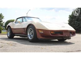 1981 Chevrolet Corvette (CC-2102591) for sale in Crete, Illinois