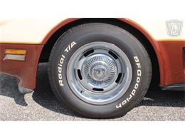 1981 Chevrolet Corvette (CC-2102591) for sale in Crete, Illinois