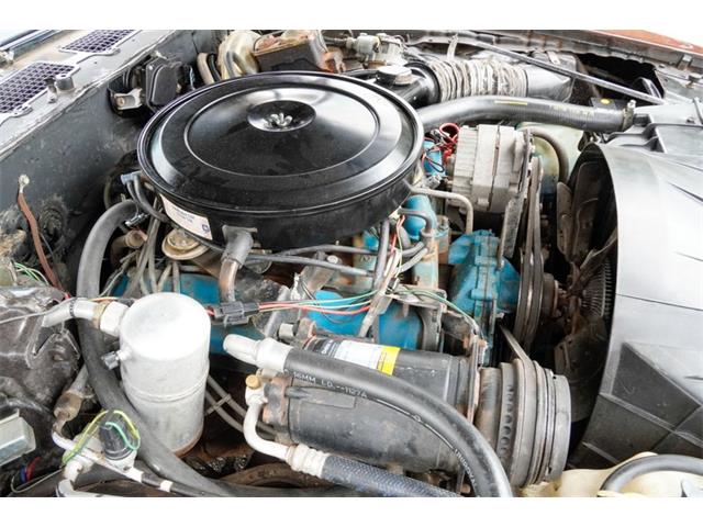 1977 Pontiac Firebird Formula (CC-2100026) for sale in Ramsey, Minnesota