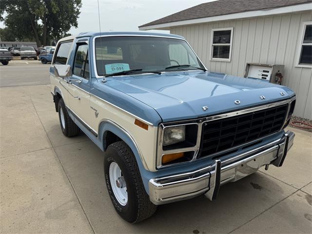 1981 Ford Bronco (CC-2102600) for sale in Brookings, South Dakota