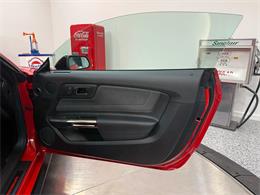 2019 Ford Mustang (CC-2102626) for sale in Pittsburgh, Pennsylvania