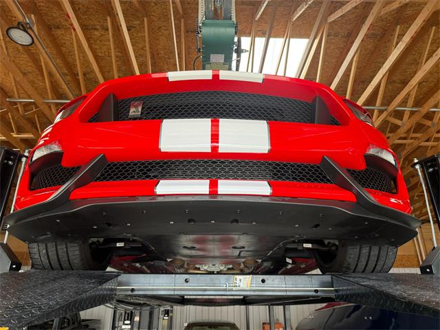 2019 Ford Mustang (CC-2102626) for sale in Pittsburgh, Pennsylvania