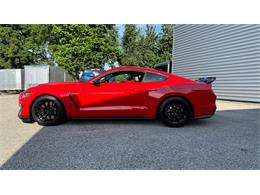 2019 Ford Mustang (CC-2102626) for sale in Pittsburgh, Pennsylvania