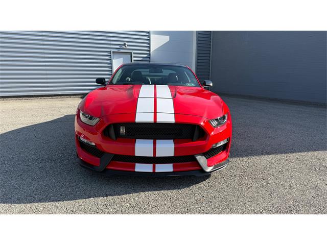 2019 Ford Mustang (CC-2102626) for sale in Pittsburgh, Pennsylvania