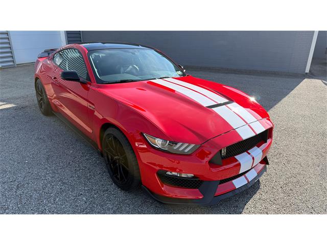 2019 Ford Mustang (CC-2102626) for sale in Pittsburgh, Pennsylvania