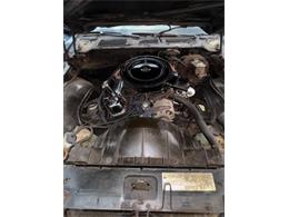 1979 Pontiac Firebird (CC-2102643) for sale in Cadillac, Michigan