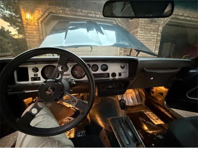 1979 Pontiac Firebird (CC-2102643) for sale in Cadillac, Michigan
