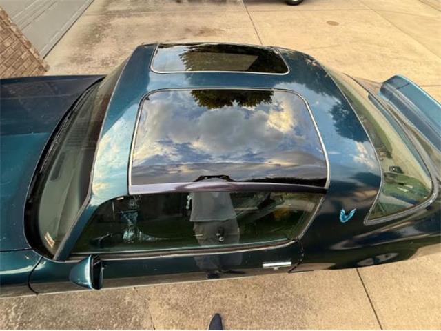 1979 Pontiac Firebird (CC-2102643) for sale in Cadillac, Michigan