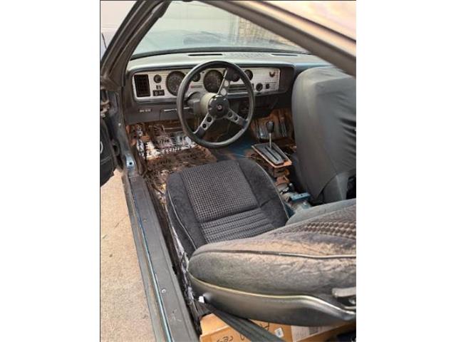 1979 Pontiac Firebird (CC-2102643) for sale in Cadillac, Michigan