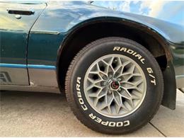 1979 Pontiac Firebird (CC-2102643) for sale in Cadillac, Michigan
