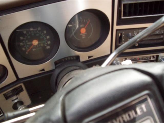 1976 Chevrolet C10 (CC-2102644) for sale in Cadillac, Michigan