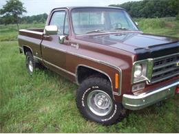 1976 Chevrolet C10 (CC-2102644) for sale in Cadillac, Michigan