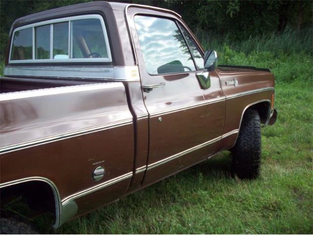 1976 Chevrolet C10 (CC-2102644) for sale in Cadillac, Michigan