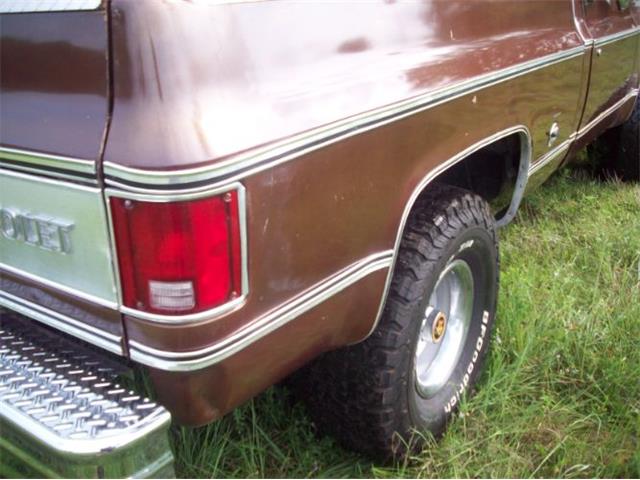 1976 Chevrolet C10 (CC-2102644) for sale in Cadillac, Michigan