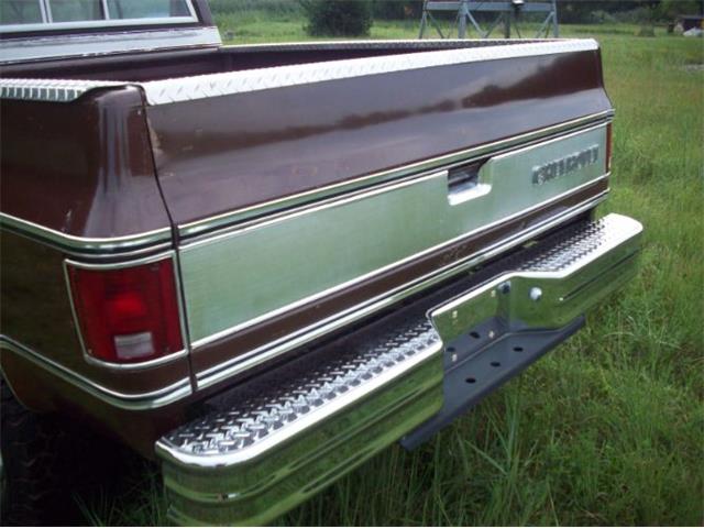 1976 Chevrolet C10 (CC-2102644) for sale in Cadillac, Michigan