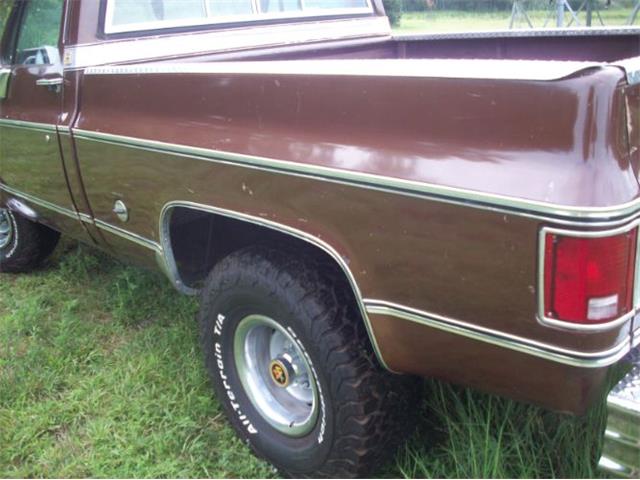 1976 Chevrolet C10 (CC-2102644) for sale in Cadillac, Michigan