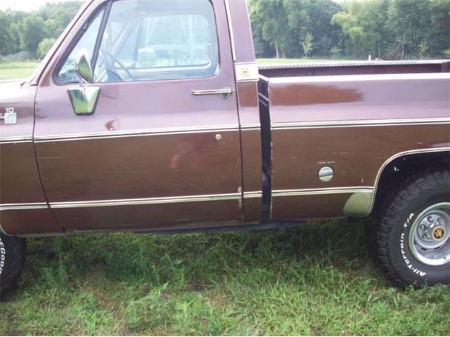 1976 Chevrolet C10 (CC-2102644) for sale in Cadillac, Michigan