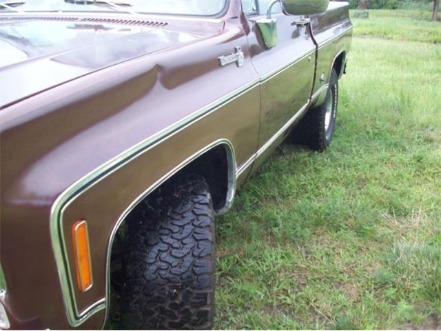 1976 Chevrolet C10 (CC-2102644) for sale in Cadillac, Michigan