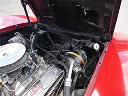 1981 Chevrolet Corvette (CC-2102674) for sale in Reno, Nevada