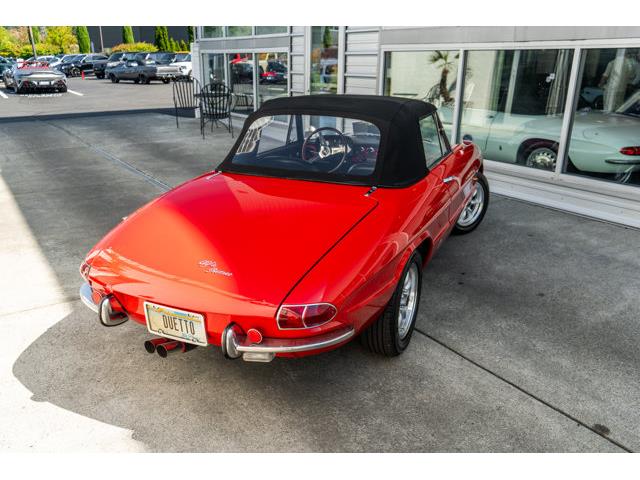 1967 Alfa Romeo Spider (CC-2102681) for sale in Bellevue, Washington