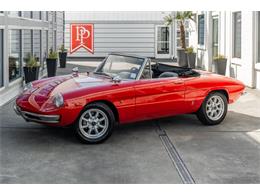1967 Alfa Romeo Spider (CC-2102681) for sale in Bellevue, Washington