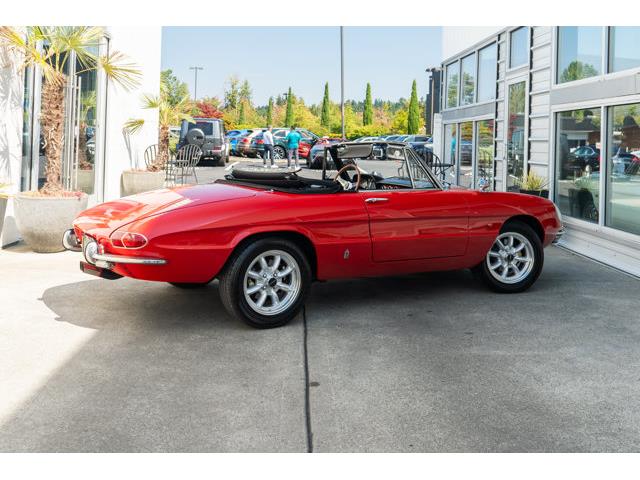 1967 Alfa Romeo Spider (CC-2102681) for sale in Bellevue, Washington