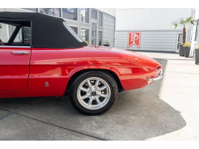 1967 Alfa Romeo Spider (CC-2102681) for sale in Bellevue, Washington
