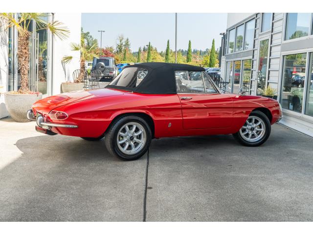 1967 Alfa Romeo Spider (CC-2102681) for sale in Bellevue, Washington