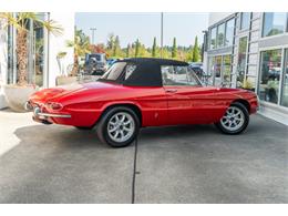1967 Alfa Romeo Spider (CC-2102681) for sale in Bellevue, Washington