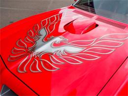 1975 Pontiac Firebird (CC-2102703) for sale in Englewood, Colorado