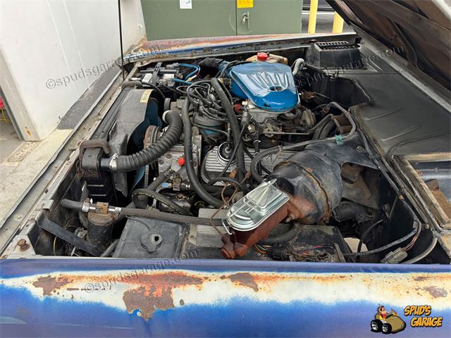 1977 Ford Bronco (CC-2102747) for sale in Irvine, California