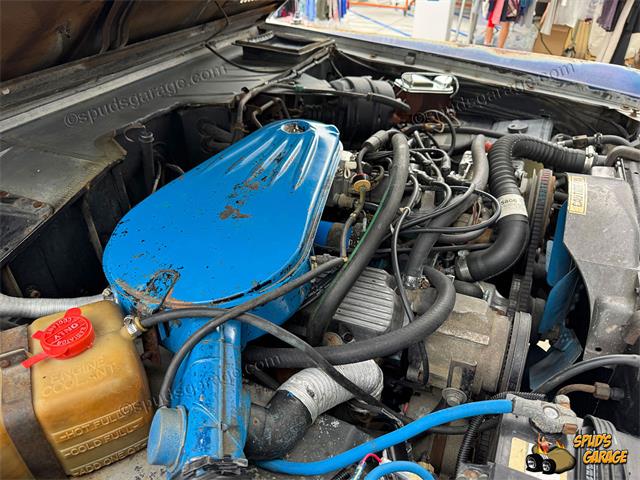 1977 Ford Bronco (CC-2102747) for sale in Irvine, California