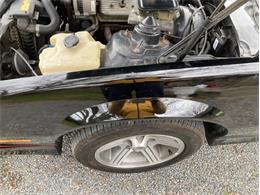 1988 Chevrolet Camaro (CC-2102800) for sale in Greensboro, North Carolina