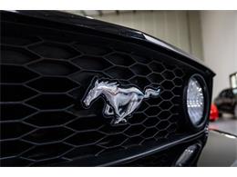 2006 Ford Mustang (CC-2102842) for sale in Kentwood, Michigan