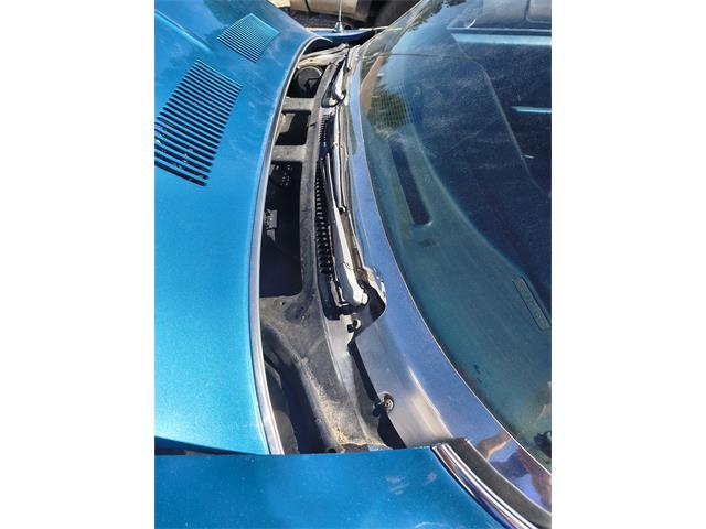 1969 Chevrolet Chevelle Malibu (CC-2100285) for sale in Grand Junction, Colorado