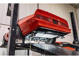 1977 Pontiac Firebird Trans Am (CC-2102858) for sale in Kentwood, Michigan