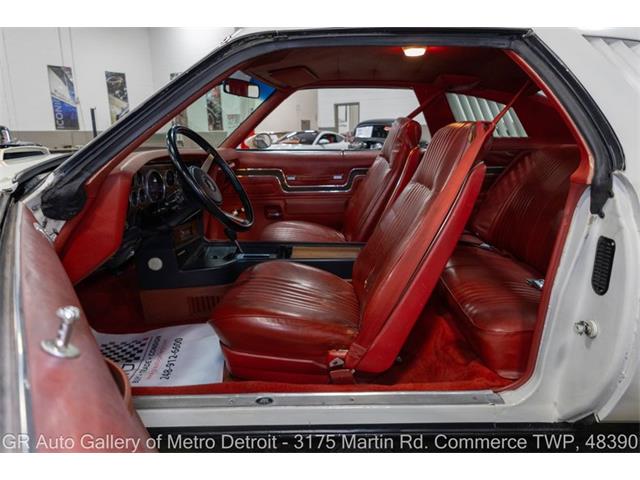 1977 Pontiac Can Am (CC-2102876) for sale in Kentwood, Michigan