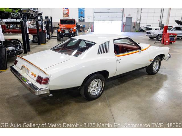 1977 Pontiac Can Am (CC-2102876) for sale in Kentwood, Michigan